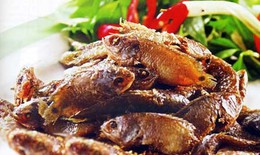 Cách khôn ngoan tìm canxi và Vitamin D trong món hàng ngày