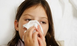 Nhận biết cúm mùa và cúm gia cầm