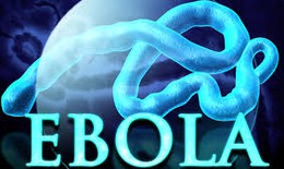 WHO vẫn lo ngại nguy cơ lây lan rộng Ebola
