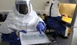 Nguy cơ truyền dịch do Ebola từ châu Phi rất thấp