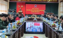 Hội nghị trực tuyến phòng chống dịch cúm gia cầm và dịch sởi