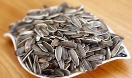 Vì sao ăn hạt hướng dương dễ bị khàn giọng?