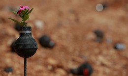 Palestine: Hoa nở trên lựu đạn chiến trường