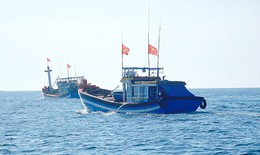Ngư dân miền Trung can trường bám biển