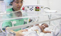 Nơi thổi hồn cho những sinh linh bé nhỏ