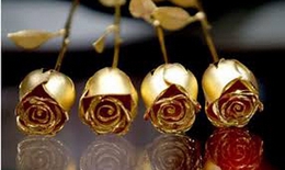 Quà Valentine: 1,5 triệu đồng một bông hồng mạ vàng