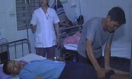 Rắn lục đuôi đỏ tấn công 2 người dân Hương Sơn