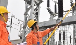 Thanh tra Chính phủ chỉ ra hàng loạt các sai phạm ở EVN