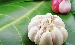 Lợi ích tuyệt vời từ tỏi