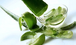 Làm mặt nạ cho từng loại da