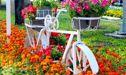 Đường hoa Tết Sài Gòn rực rỡ trước giờ khai mạc