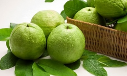 Quả ổi và lợi ích ít biết với bà bầu