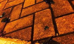 30 thanh niên hỗn chiến, gây náo động trung tâm TP HCM