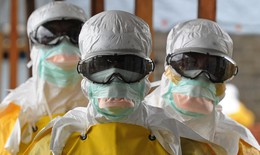 Gót chân asin của Ebola