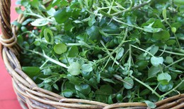 Lợi ích dinh dưỡng bất ngờ của rau cải xoong