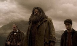 Sao phim Harry Potter nhập viện khẩn sau chuyến bay