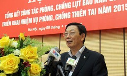 Chủ tịch Hà Nội: Không dừng việc chặt cây nguy hiểm