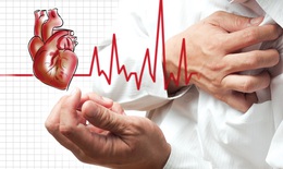 Năm 2017, 1/5 dân số Việt Nam có nguy cơ mắc bệnh tim mạch và tăng huyết áp