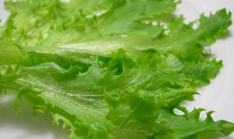 6 sai lầm hay mắc khi ăn kiêng