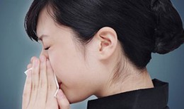 Hắt hơi liên tục là bệnh gì?