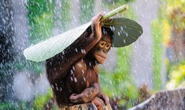 15 bức hình đẹp tới kinh ngạc