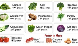 Top 10 loại rau xanh giàu protein