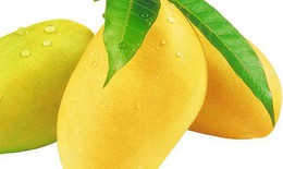Các loại quả chữa được bệnh của đàn ông