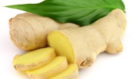 Bài thuốc chữa tiêu chảy, rối loạn tiêu hoá