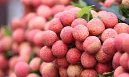 Cách dùng quả vải chữa yếu sinh lý cho đàn ông
