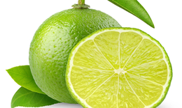 C&#225;ch trị h&#244;i n&#225;ch bằng thảo dược