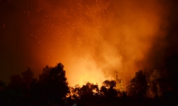 Cháy rừng ở TP HCM, hàng chục hộ dân di tản trong đêm
