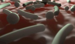 Vitamin B12 có thể khiến da rối loạn và nổi mụn