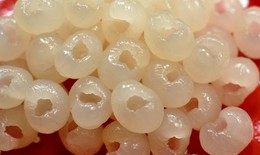 Long nhãn trị trứng thiếu máu, mất ngủ