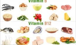 Vai trò của các vitamin B trong cơ thể