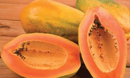 Vị thuốc từ quả đu đủ