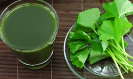 Chữa cảm nắng, say nắng bằng rau má