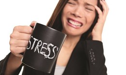 Stress gây nên những rối loạn thể chất và tâm thần