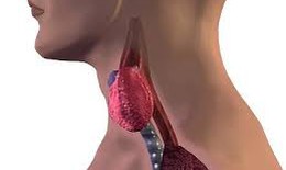 Tái phát cường giáp, bệnh có nặng thêm?
