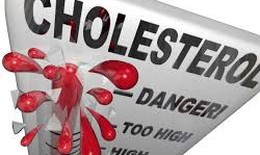 Nguyên nhân hàng đầu khiến cholesterol máu tăng cao