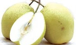 Ăn quả lê có lợi cho sức khỏe