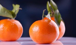 Vitamin C tiêu diệt các tế bào ung thư đột biến