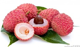Vải, món ăn thuốc tốt cho hai giới