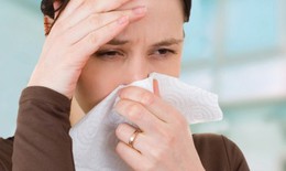 Cách đơn giản trị viêm mũi dị ứng