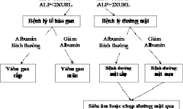 Lợi &#237;ch của x&#233;t nghiệm chức năng gan