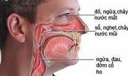 Cẩn thận với những bệnh dị ứng hay gặp