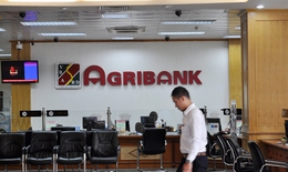 Công bố kết luận thanh tra Agribank, EVN