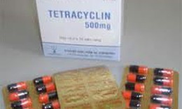 Không dùng tetracyclin điều trị nhiễm khuẩn