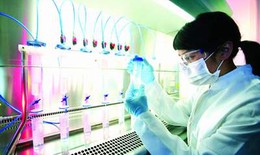 Vắc - xin mới phòng bệnh sốt rét
