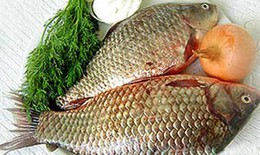 Cá chép - Bổ âm, chữa bệnh phụ nữ