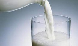 Người bị gan nhiễm mỡ có nên uống sữa?